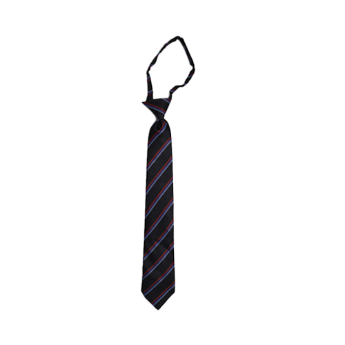 Fazmic Striped School Tie