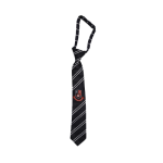 The Spirit School Tie