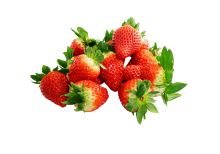 Red Strawberry