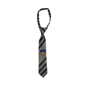 Dar-e-Arqam School Tie