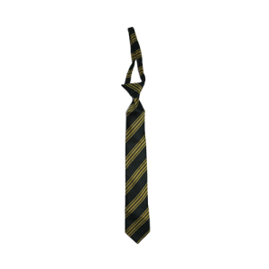 Gold and Black Striped School Tie