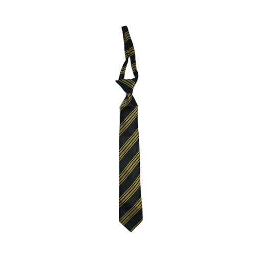 Gold and Black Striped School Tie